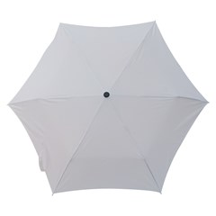 Automatic Folding Umbrella with Case (Small)